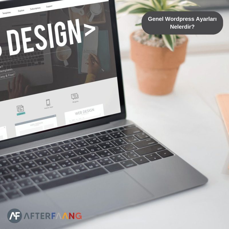 Genel WordPress Ayarları Nelerdir