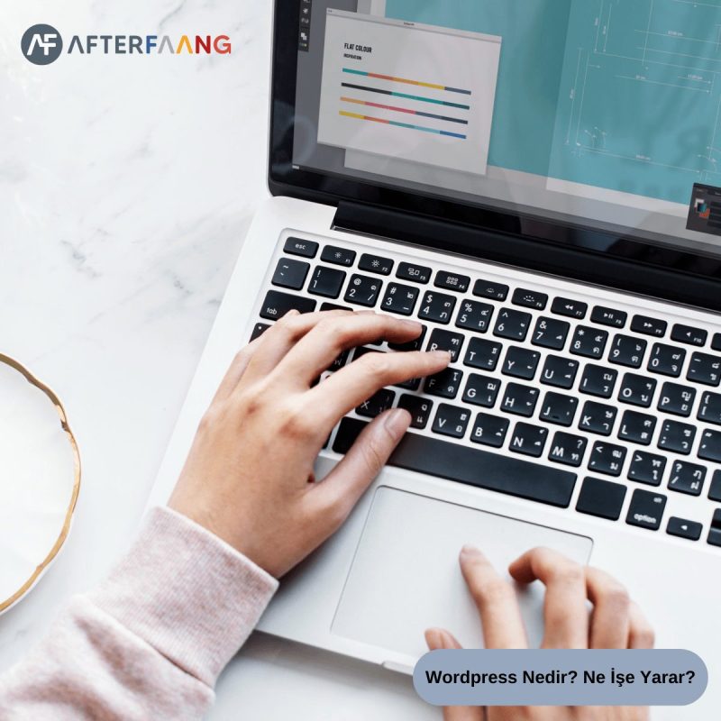 Wordpress Nedir Ne İşe Yarar